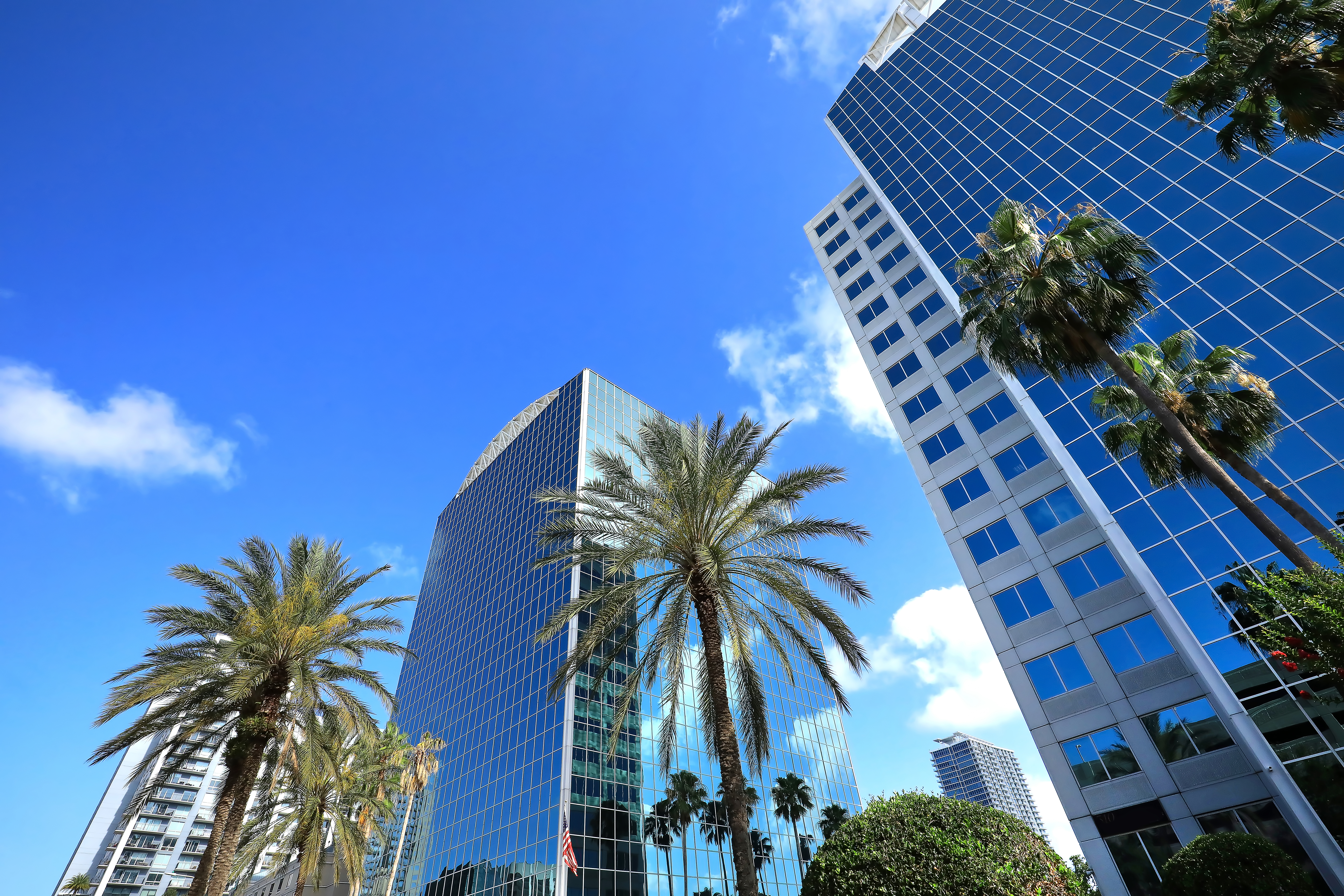 real estate florida